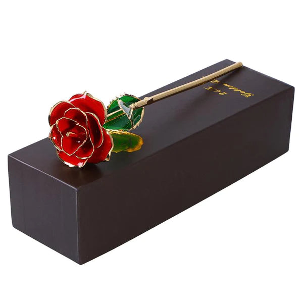 Zeitlich begrenztes Angebot - 24K Gold Eternity Rose